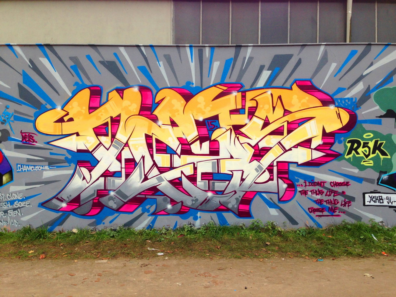 Graffiti Wall - Photo by DETS - dets, rsk, chameleons (2015)