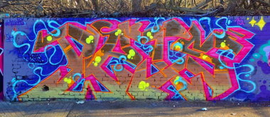 Graffiti Wall - Photo by DETS - dets-chameleons-rsk (2015)