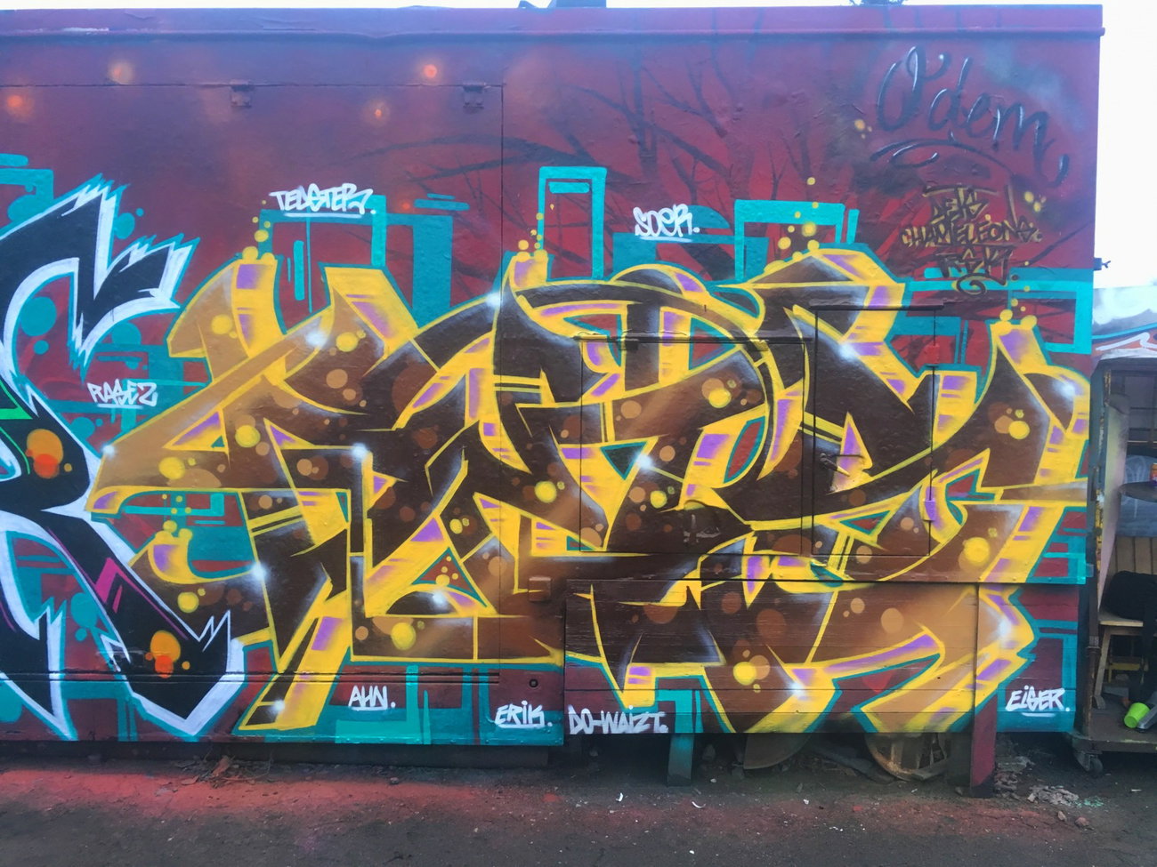 Graffiti Wall - Photo by DETS - dets, rsk, chameleons (2017)