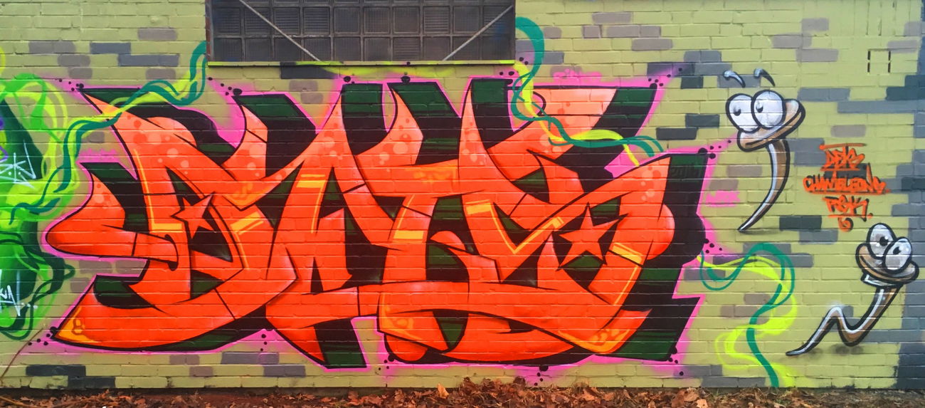Graffiti Wall - Photo by DETS - dets, rsk, chameleons (2016)