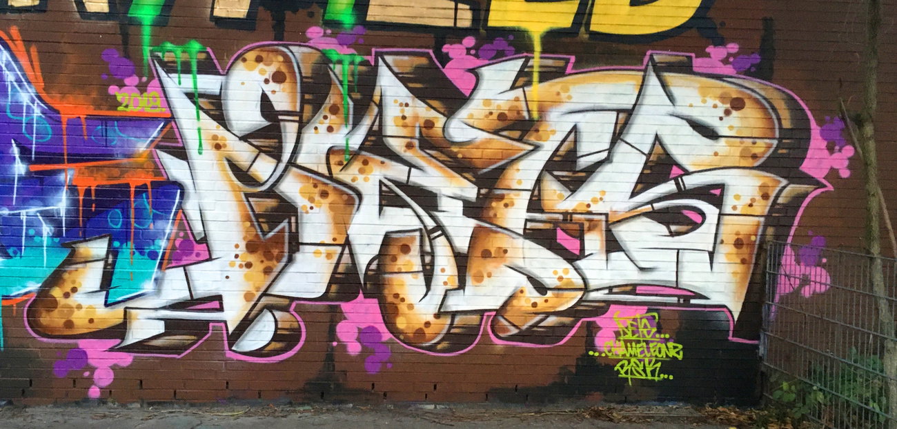 Graffiti Wall - Photo by DETS - dets, rsk, chameleons (2019)