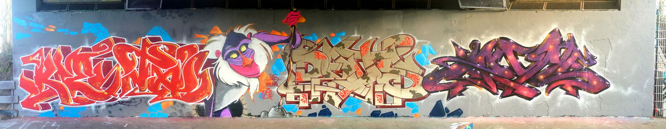 Graffiti Wall - Photo by DETS (2020)