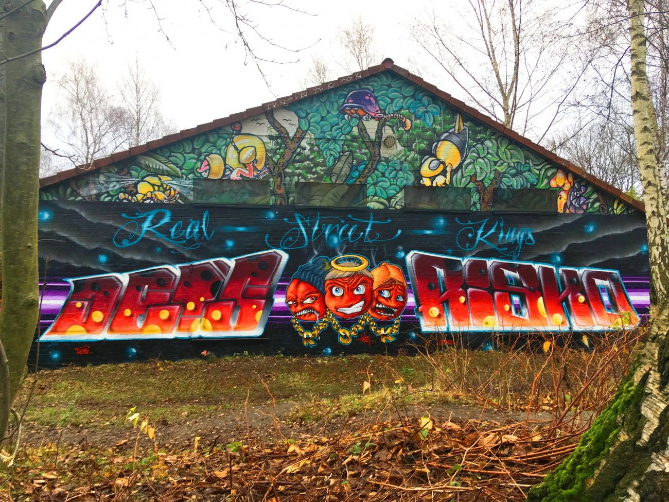 Graffiti Wall - Photo by DETS - dets, imun, risko (2017)