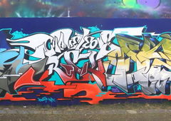 Graffiti Wall - Photo by DETS - rskchameleons, chms, dets (2018)