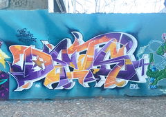 Graffiti Wall - Photo by DETS - dets, rs-kingz, chameleons (2017)