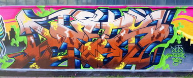 Graffiti Wall - Photo by DETS - rsk, chameleons (2015)