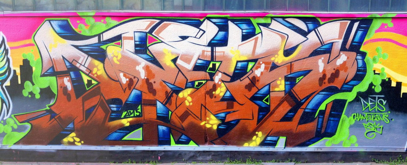 Graffiti Wall - Photo by DETS - rsk, chameleons (2015)