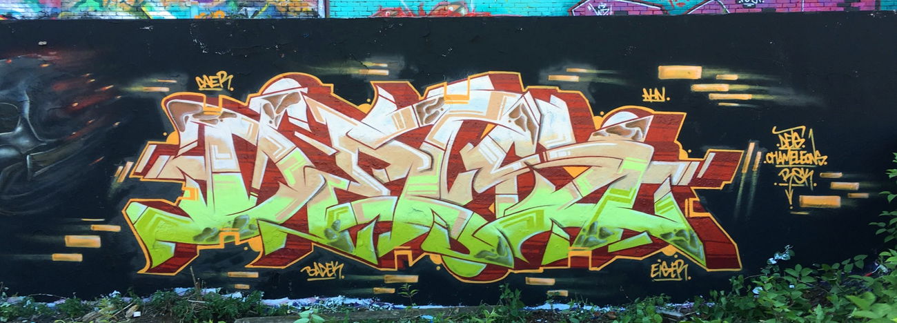 Graffiti Wall - Photo by DETS - chameleons, rsk, risko (2018)