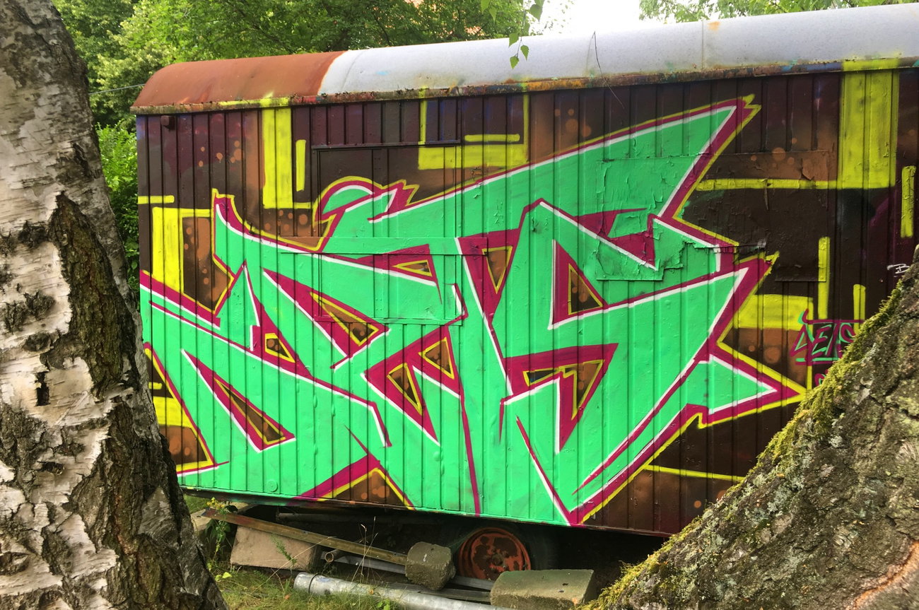 Graffiti Wall - Photo by DETS - dets, rsk, chameleons (2016)
