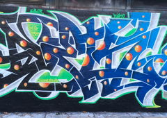 Graffiti Wall - Photo by DETS - dets, rsk, chameleons (2017)