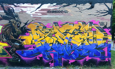 Graffiti Wall - Photo by DETS - rsk, chameleons, badek (2018)