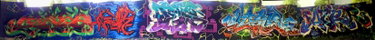 Graffiti Wall - Photo by DETS - rsk, chameleons, rsk (2016)