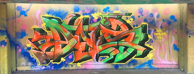 Graffiti Wall - Photo by DETS - dets, chameleons, rsk (2016)