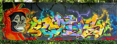 Graffiti Wall - Photo by DETS - graffiti, dets, rsk (2020)
