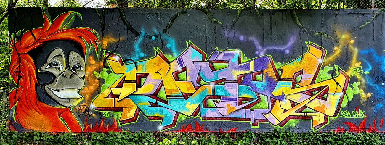 Graffiti Wall - Photo by DETS - graffiti, dets, rsk (2020)