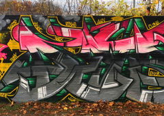 Graffiti Wall - Photo by DETS - dets, rsk, chameleons (2016)