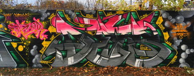 Graffiti Wall - Photo by DETS - dets, rsk, chameleons (2016)
