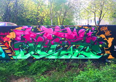 Graffiti Wall - Photo by DETS - dets, rsk, chameleons