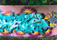 Graffiti Wall - Photo by DETS - dets, rsk, chameleons (2017)