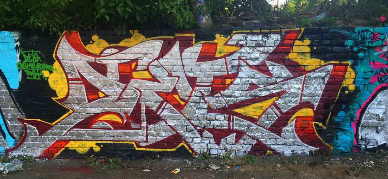 Graffiti Wall - Photo by DETS - dets, rsk, chaeleons (2017)