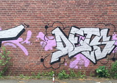 Graffiti Wall - Photo by DETS - dets, rsk, chameleons (2018)