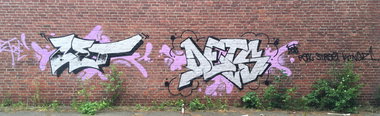 Graffiti Wall - Photo by DETS - dets, rsk, chameleons (2018)
