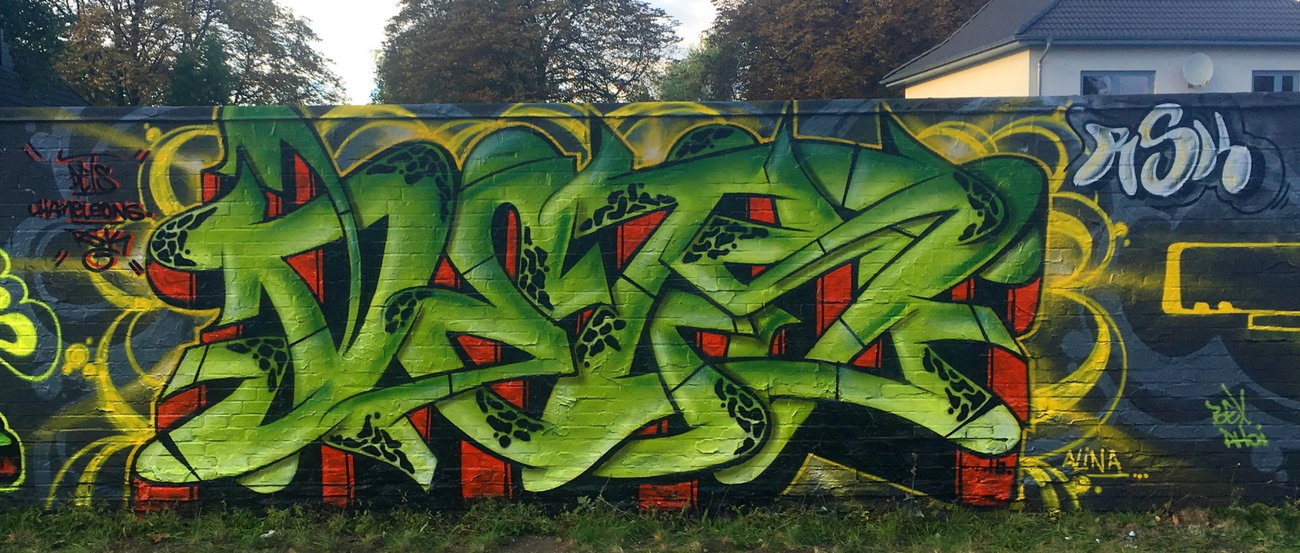 Graffiti Wall - Photo by DETS - dets, rsk, chameleons (2016)