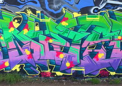 Graffiti Wall - Photo by DETS - wihelmsburg, rsk, chameleons (2019)