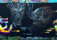 Graffiti Wall - Photo by DETS - chameleons, rsk, risko (2018)