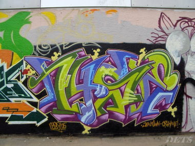 Graffiti Wall - Photo by DETS - nyse, the, cat