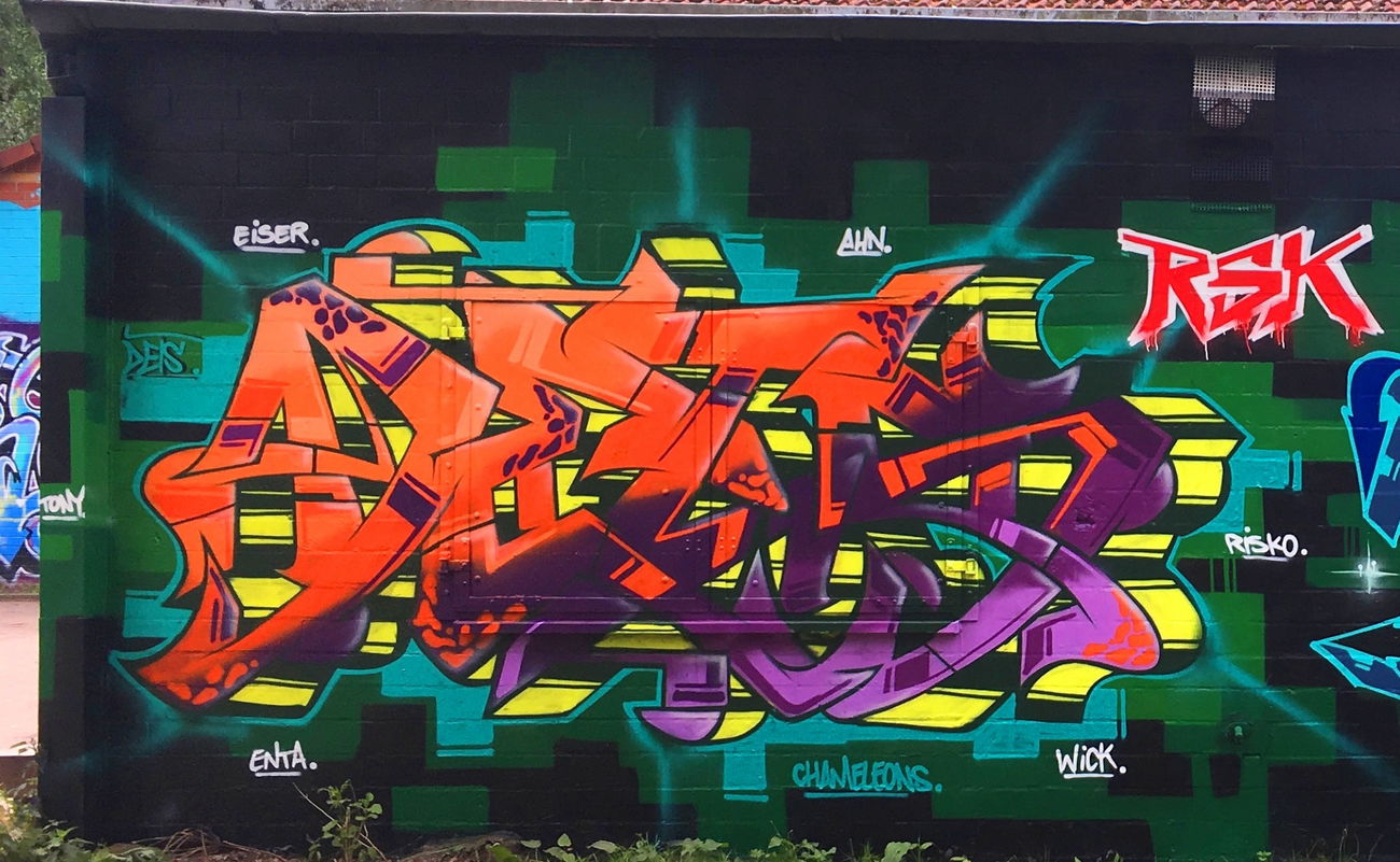 Graffiti Wall - Photo by DETS - dets, rsk, chameleons (2016)
