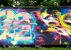Graffiti Wall - Photo by DETS - dets, rsk, chameleons (2020)