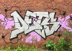 Graffiti Wall - Photo by DETS - dets, rsk, chameleons (2018)