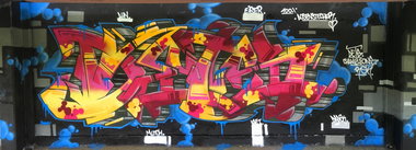 Graffiti Wall - Photo by DETS - rsk, chameleons (2018)