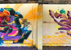 Graffiti Wall - Photo by DETS - dets, rsk, chameleons (2019)
