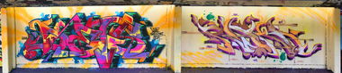 Graffiti Wall - Photo by DETS - dets, rsk, chameleons (2019)