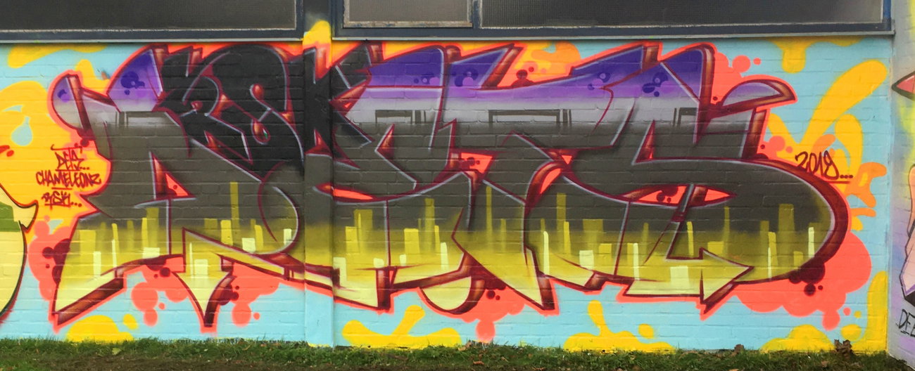 Graffiti Wall - Photo by DETS - rsk, chameleons (2019)