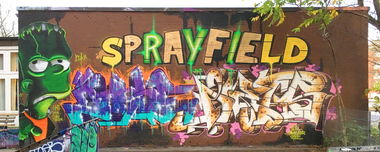 Graffiti Wall - Photo by DETS - dets, rsk, chameleons (2019)