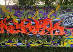 Graffiti Wall - Photo by DETS - dets, rsk, chameleons (2017)