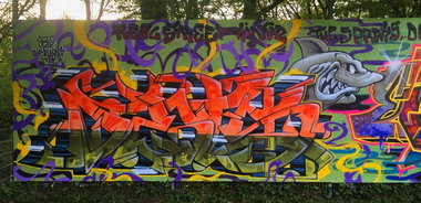 Graffiti Wall - Photo by DETS - dets, rsk, chameleons (2017)
