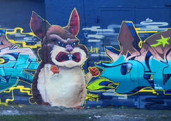 Graffiti Wall - Photo by DETS - rsk, chameleons, dets (2018)