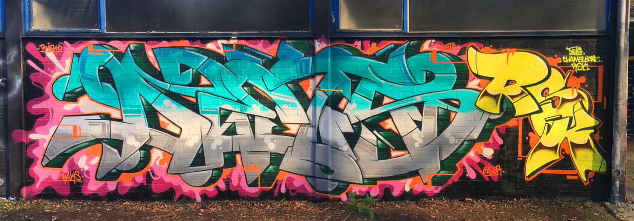 Graffiti Wall - Photo by DETS - detsrsk, chameleons (2019)