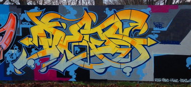 Graffiti Wall - Photo by DETS - dets, rskchameleons (2015)