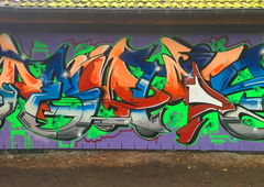 Graffiti Wall - Photo by DETS - BdAeDtEsK, -, chameleons (2017)