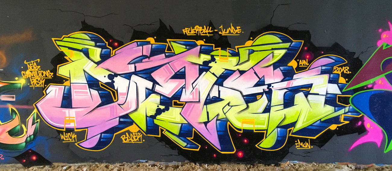 Graffiti Wall - Photo by DETS - dets, rsk, chameleons (2019)