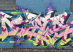 Graffiti Wall - Photo by DETS - rsk, chameleons (2017)