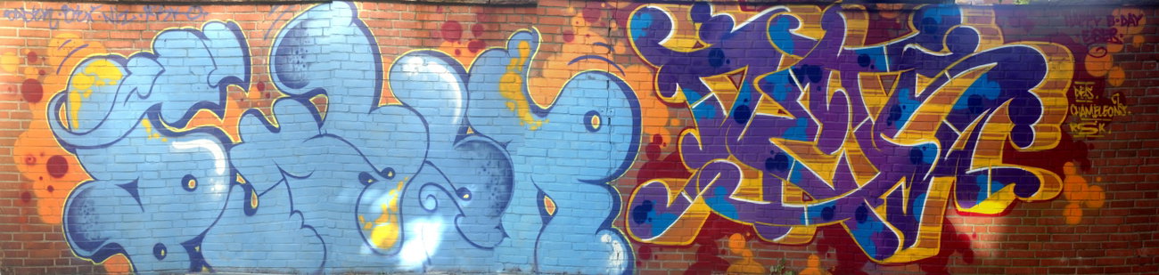 Graffiti Wall - Photo by DETS - buzzr, dets, chameleons (2015)