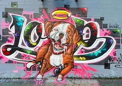 Graffiti Wall - Photo by DETS (2025)