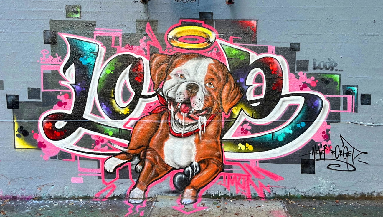 Graffiti Wall - Photo by DETS (2025)