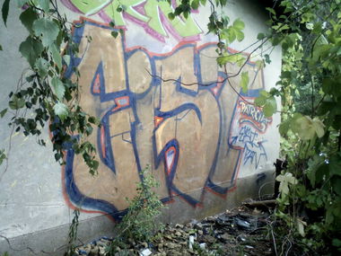 Graffiti Wall - Photo by DIRK - EIS.T, PAN (2013)